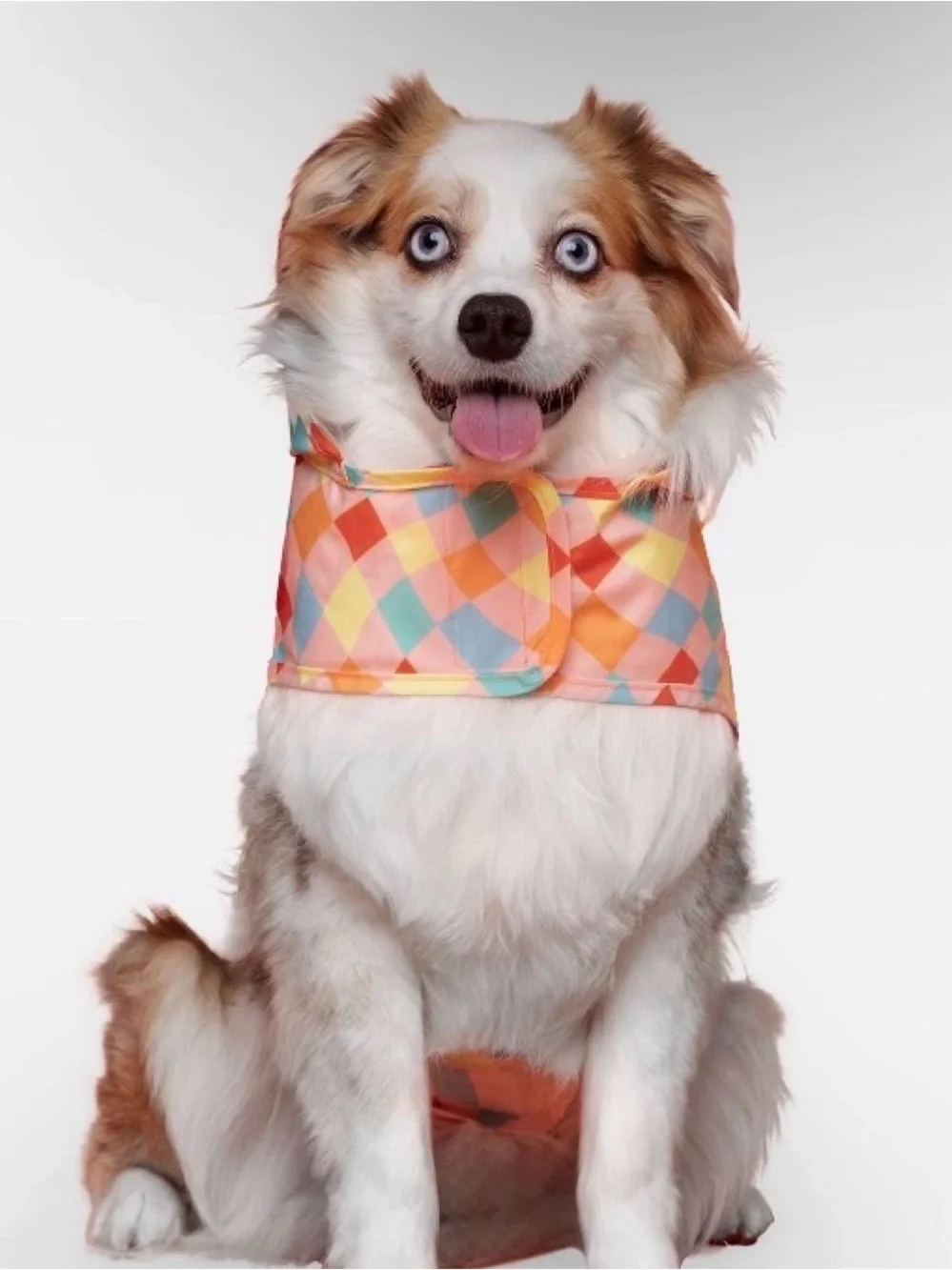 Canada Pooch Pick Me Poncho Multi Colred Checker Hooded Dog Coat